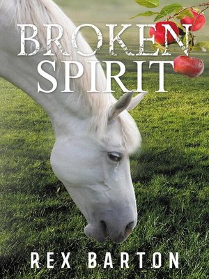 cover image of Broken Spirit